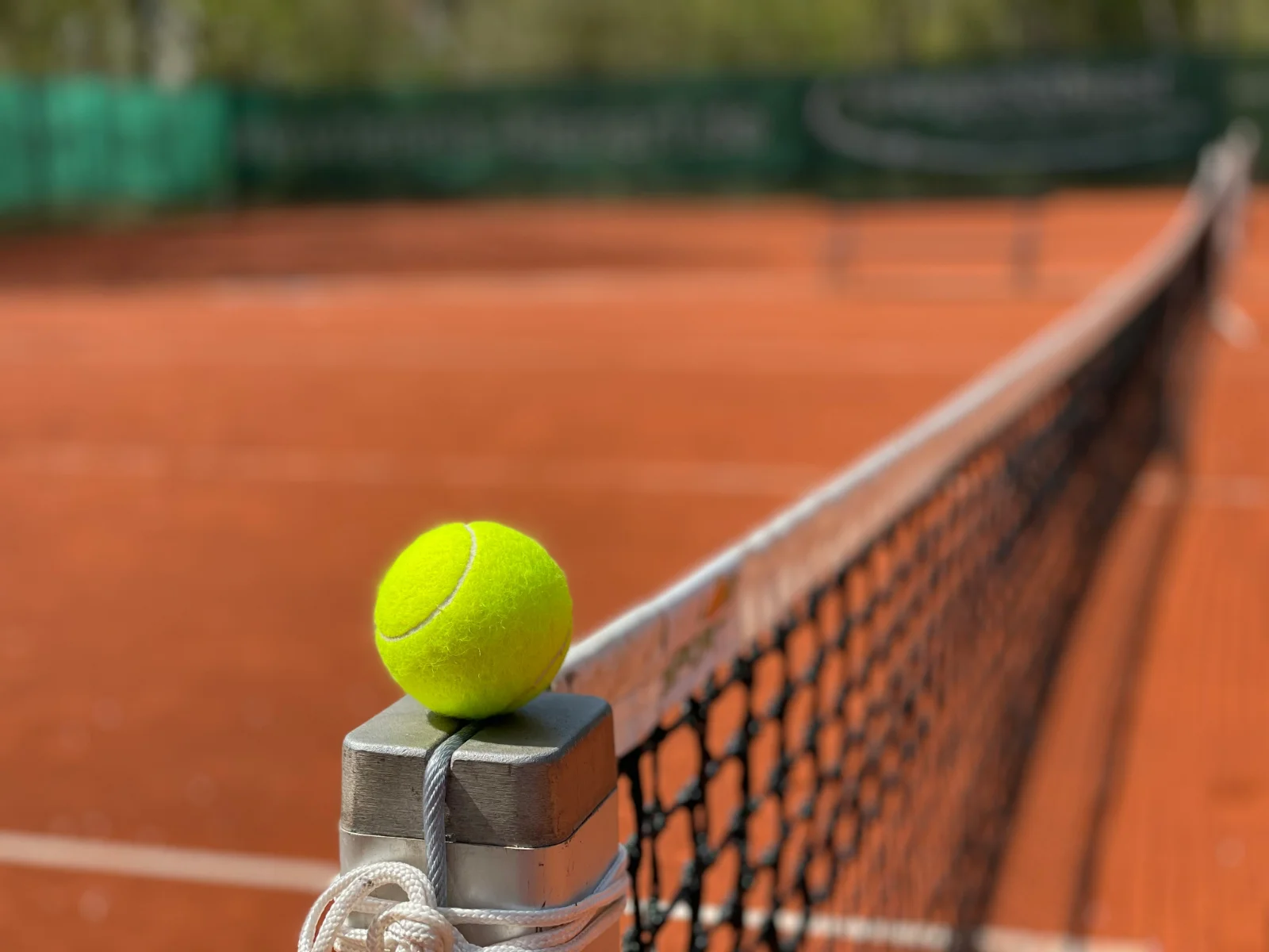 Pallina da tennis su un campo, in attesa della Coppa Davis a Bologna